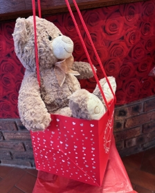 Super soft Bear